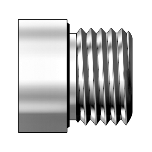 Blanking Plugs for Port with ED-ring (BSP Parallel Thread) 제품 이미지